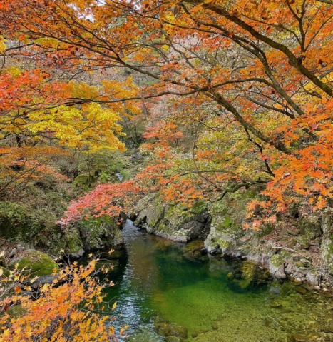 치악산 단풍 사진