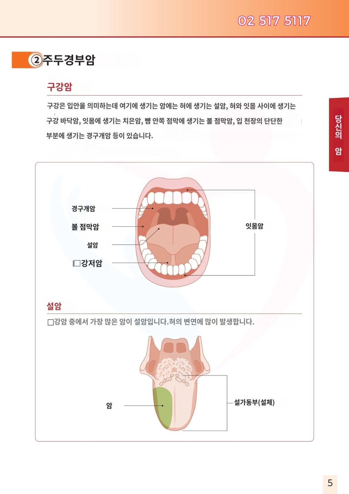 두경부암 광면역치료