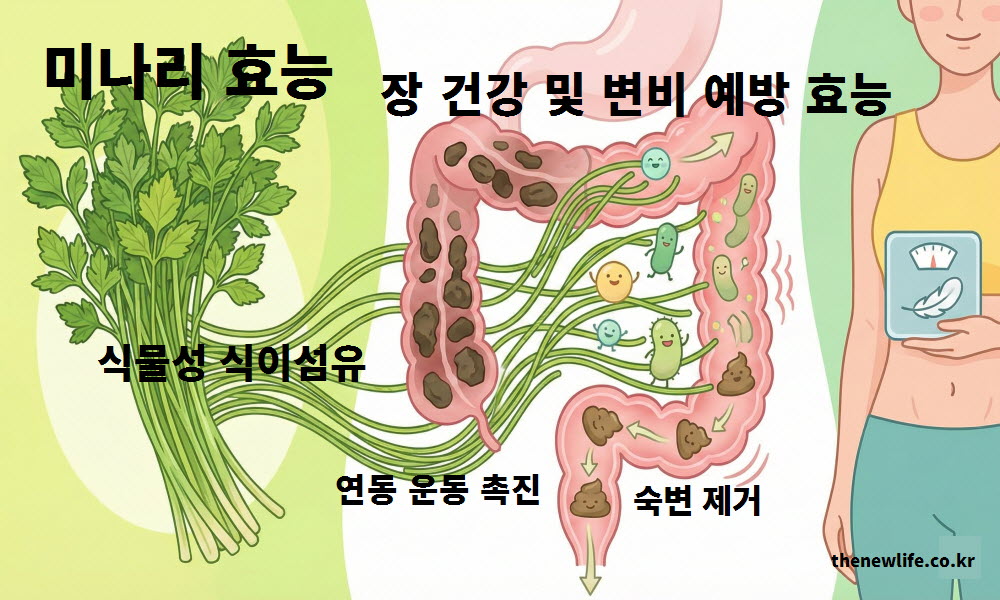 미나리 효능인 장 건강과 변비 예방 효과를 설명하는 인공 이미지