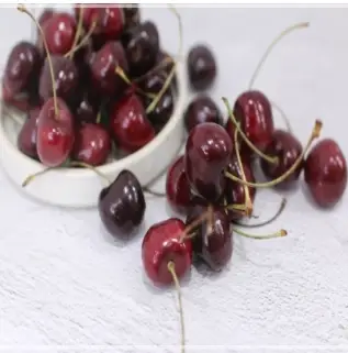 온누리상품권-사용처-검색