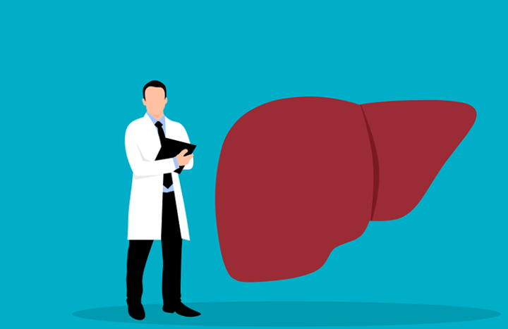 간 건강