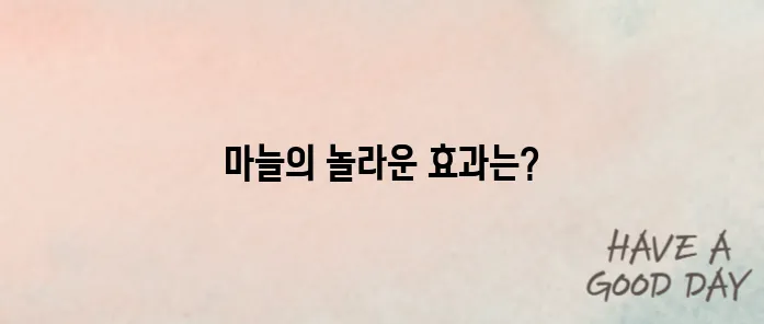 마늘 효능10가지