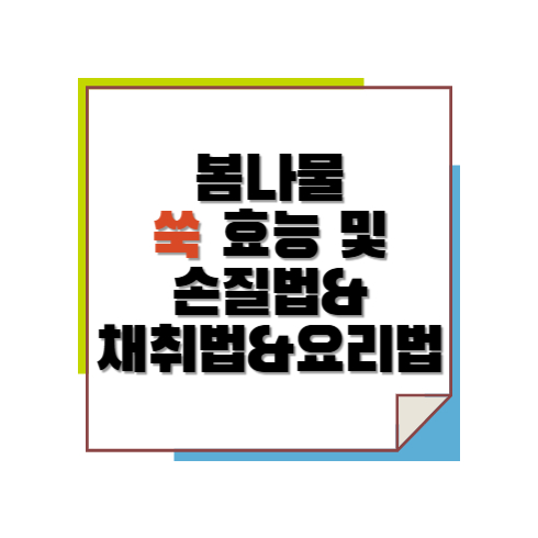 봄나물 쑥 효능 및 손질법과 채취법과 요리법