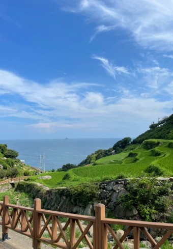 8월에 가볼만한 국내여행지