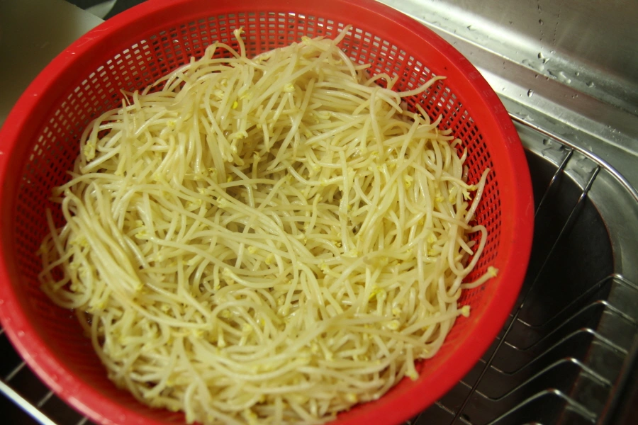 데친 콩나물