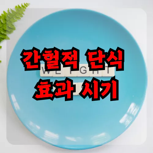 간헐적 단식 효과 시기