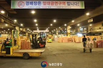 가락동 농산물 경매시세 실시간 확인 완벽 농산물 정보_8
