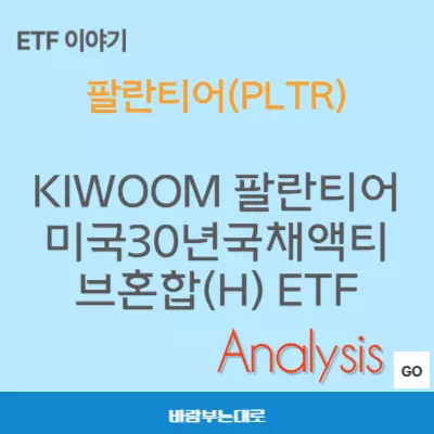 KIWOOM 팔란티어미국30년국채액티브혼합(H) ETF