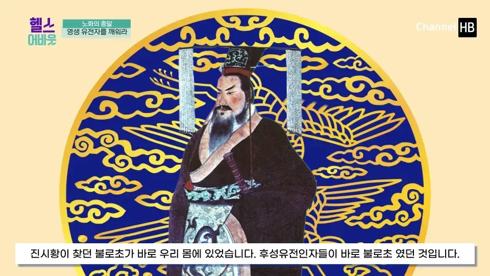 일본 NMN 영양제