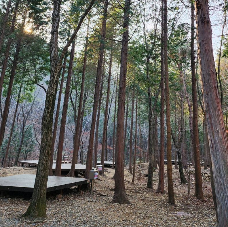 국립남해편백자연휴양림