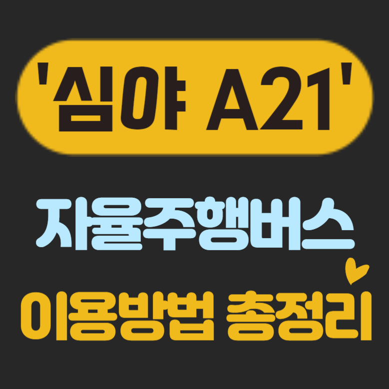 심야 자율주행버스 이용방법 총정라