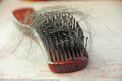 원형탈모에 좋은 음식 vs 원형탈모에 나쁜 음식 알아보기