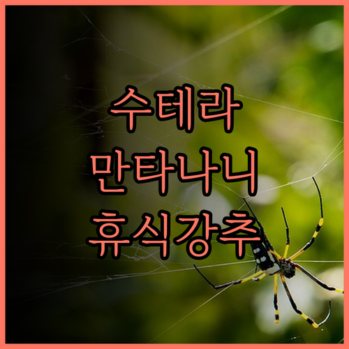 수테라 @ 만타나니 아일랜드 리조트