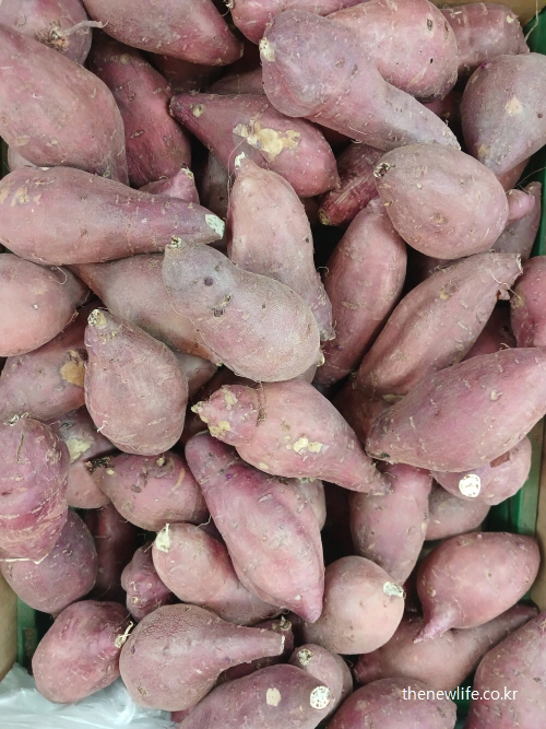 밀가루 끊기 효과 대체 식품 고구마