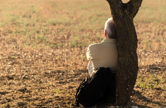 서울런 4050 평생학습포털