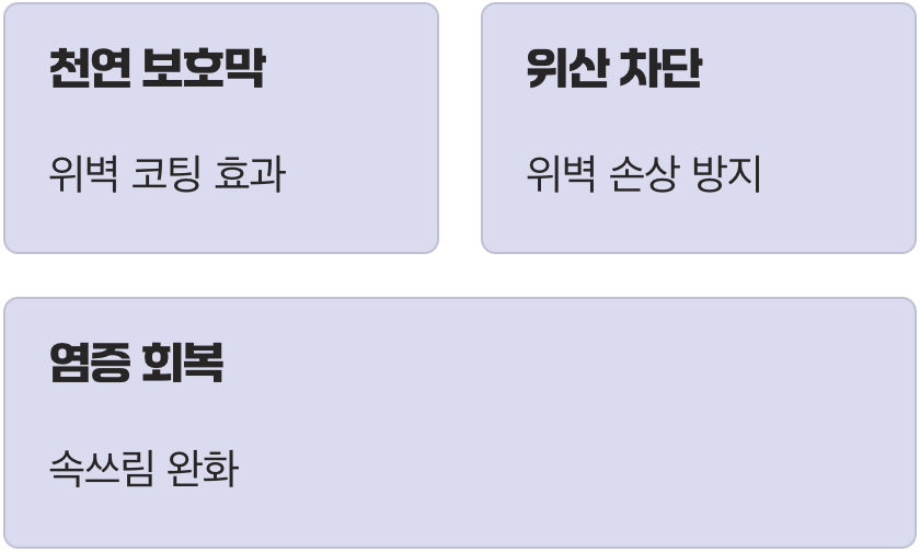 1. 위벽을 지키는 천연 보호막