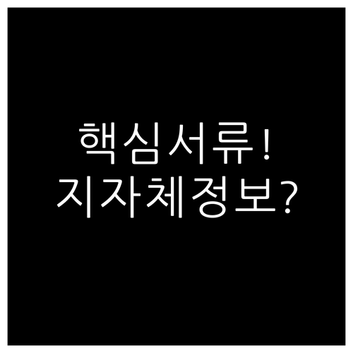 출산지원금 통합 신청 시 필요한 공통..