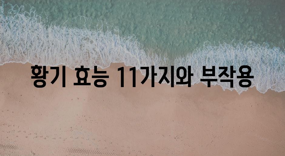 샘플 (85)