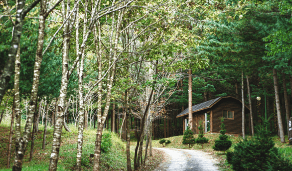 국립자연휴양림 6월부터 2자녀 가구도 최대 30% 감면 혜택