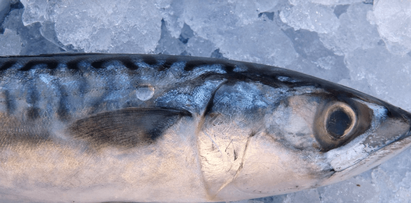 눈에 좋은 음식