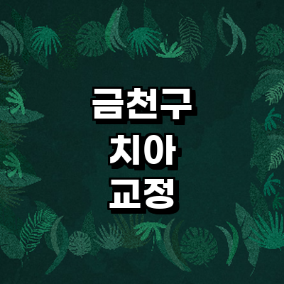 서울 금천구 교정 치과