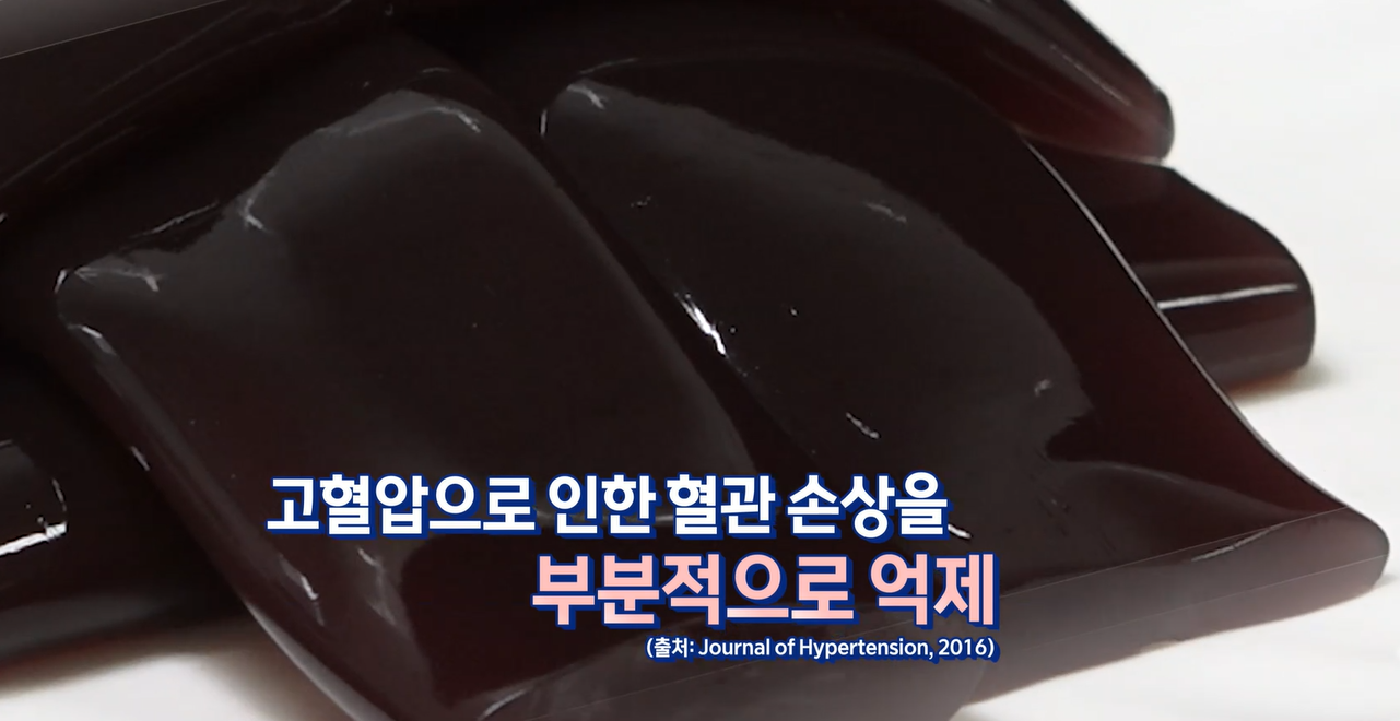 엘라스틴 효능