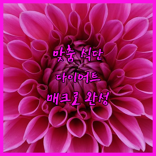 나만을 위한 맞춤 식단! 다이어트 &