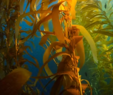 골다공증에 좋은 음식 영양제 식단