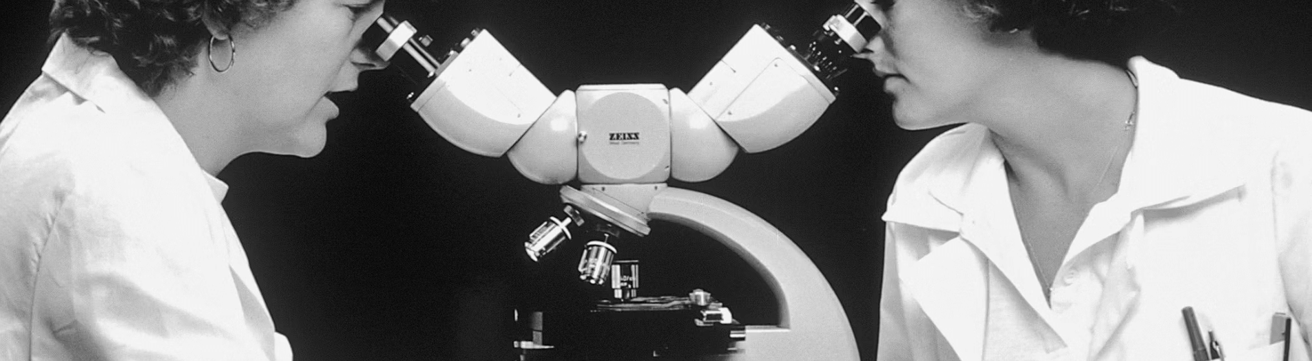 신기한과학상식