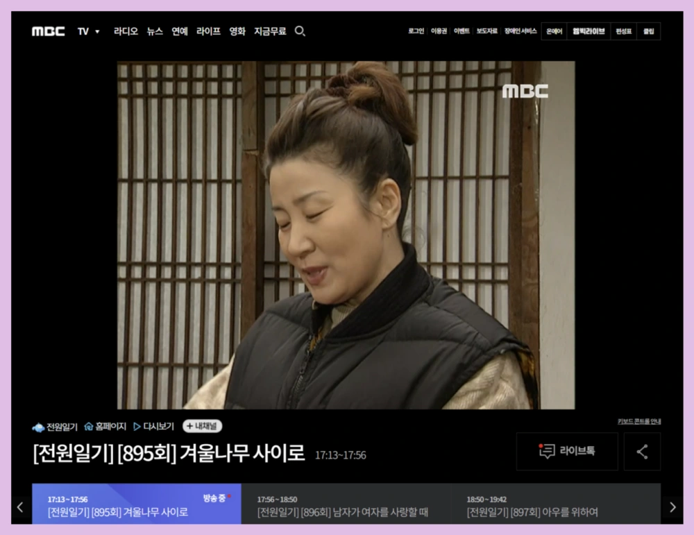 김수미-추모-특집 방송