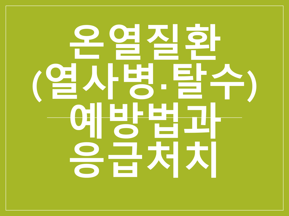 온열질환(열사병&middot;탈수) 예방법과 응급처치 총정리｜폭염 대비 건강 수칙