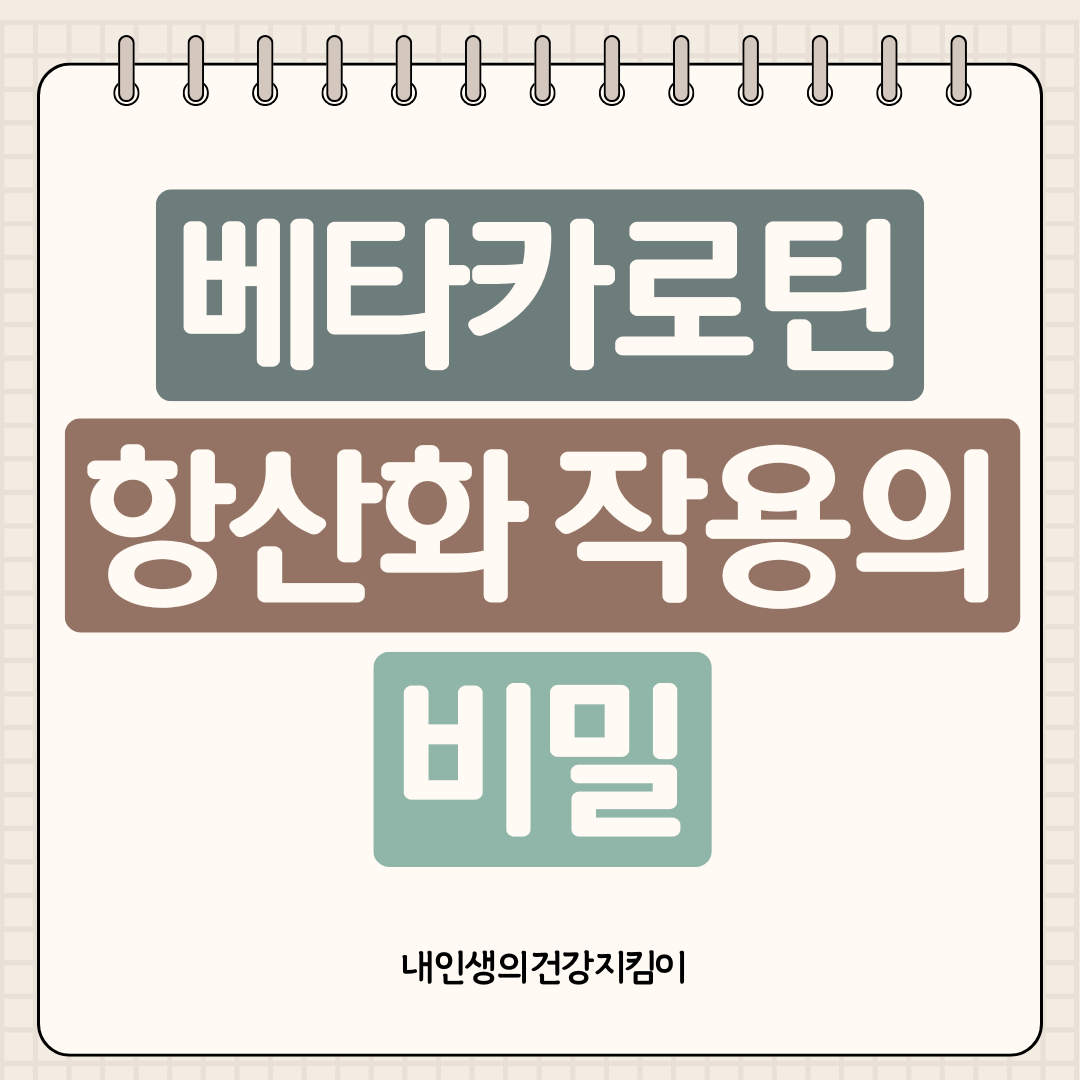 베타카로틴 효능 ❘ 비타민A 전환 과정과 항산화 작용의 비밀