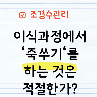 큰 나무 이식시 죽쑤기