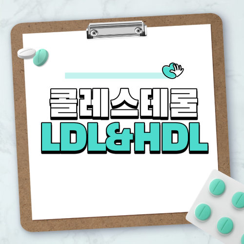 콜레스테롤