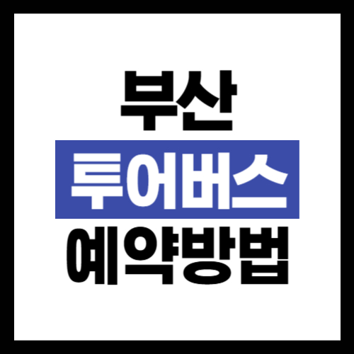 부산 시티투어버스 예약 방법