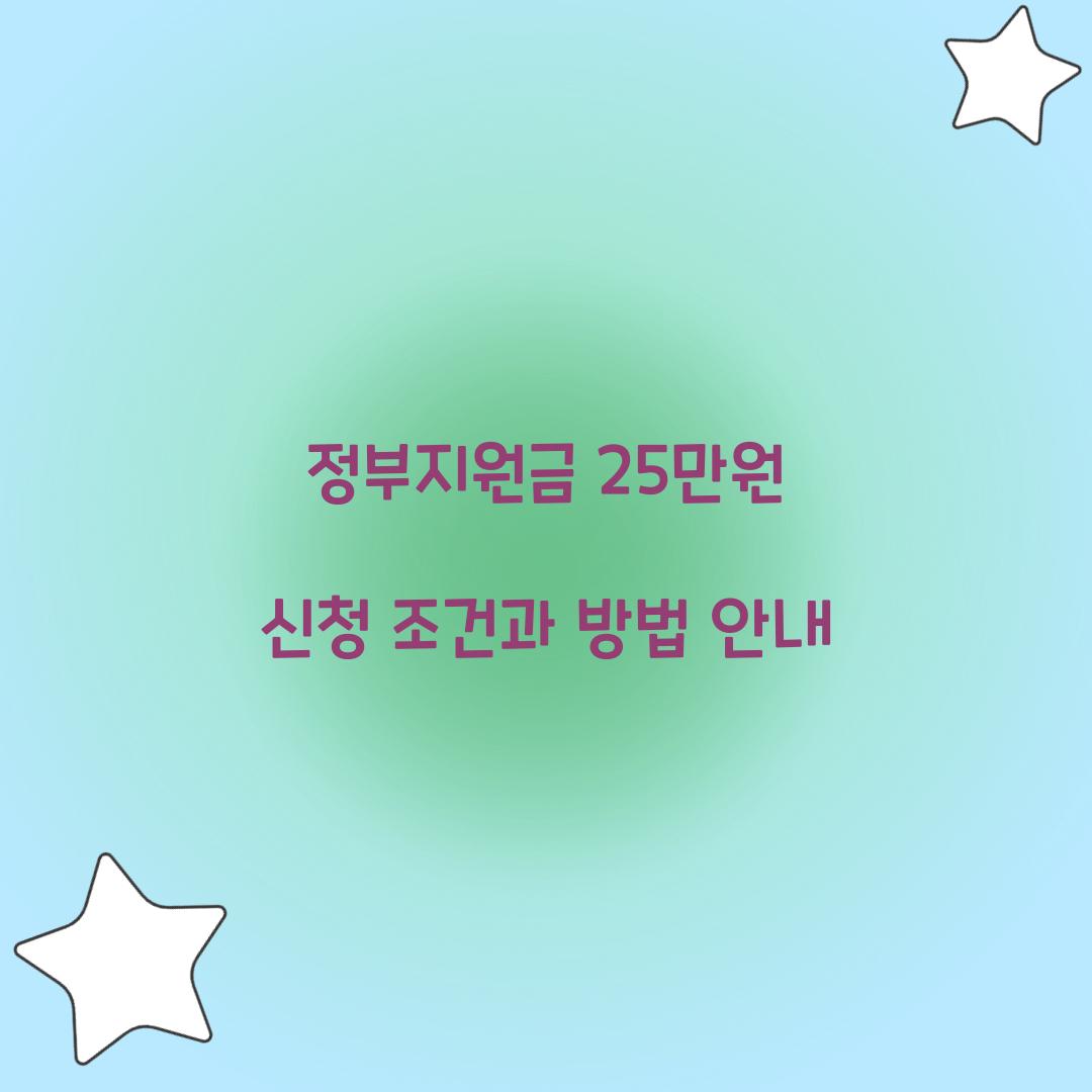 정부지원금 25만원