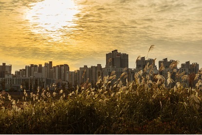 수도권 신규택지 발표-그린벨트 해제- 서리풀 고양대곡 의왕오전왕곡 의정부용현