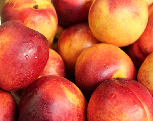 복숭아 보관방법