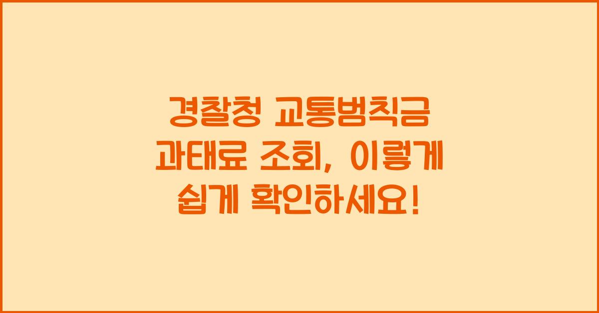 경찰청 교통범칙금 과태료 조회