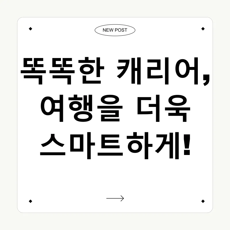 여행용 캐리어_2