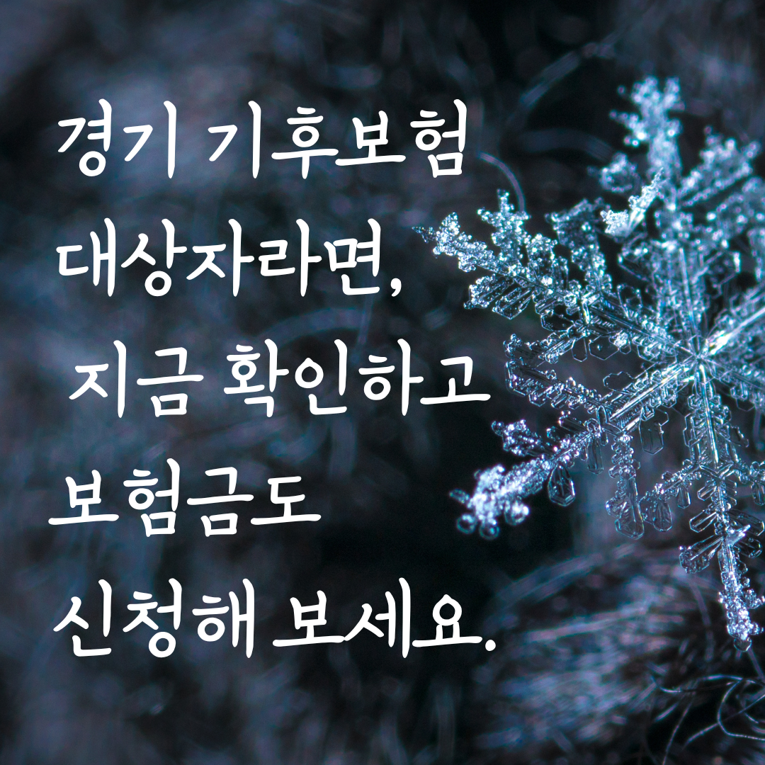 경기 기후보험 대상자라면 지금 확인하고 보험금도 신청해 보세요