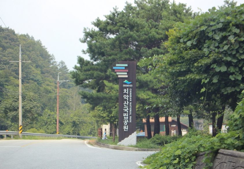 금대계곡
