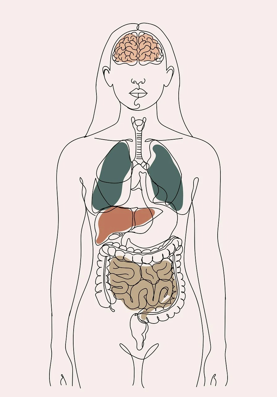 8체질자가진단 체질테스트 신라면골드 라면신제품 병오년운세 2026신년운세 토정비결무료 