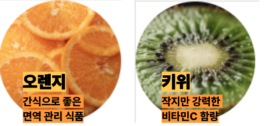 비타민C 많은 오렌지&amp;#44;키위