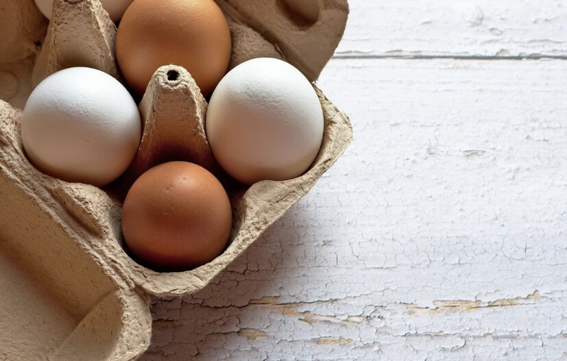 난각번호 보는법