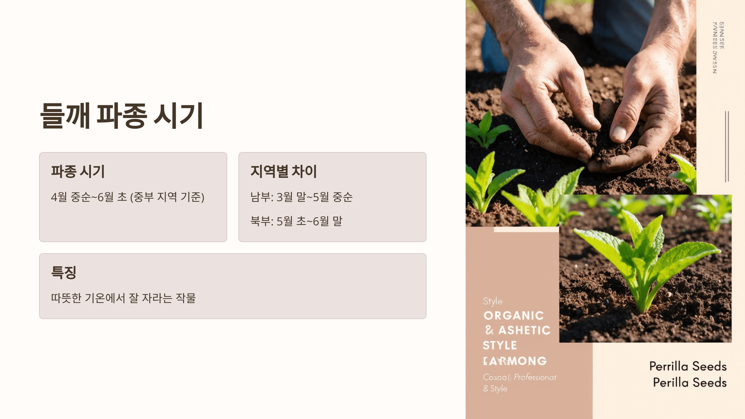 들깨 사진입니다.