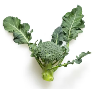 치매에 좋은 음식 영양제 식단