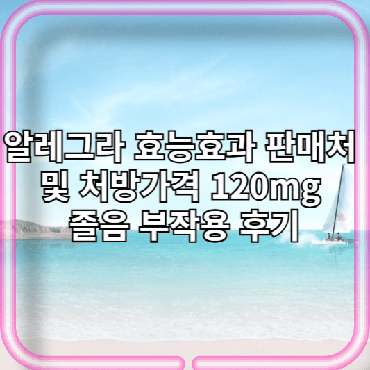 알레그라 효능효과 판매처 및 처방가격 120mg 졸음 부작용 후기