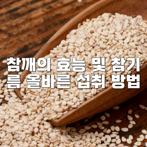 참깨의 효능