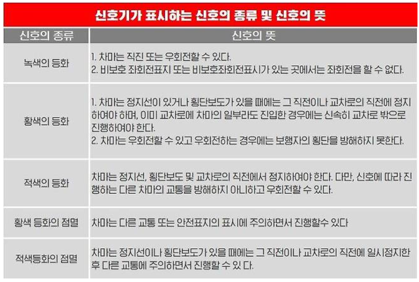 신호위반 개요